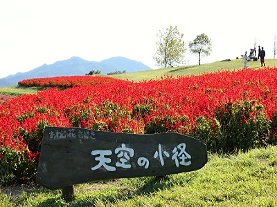 あわじ花さじきの天空の小径